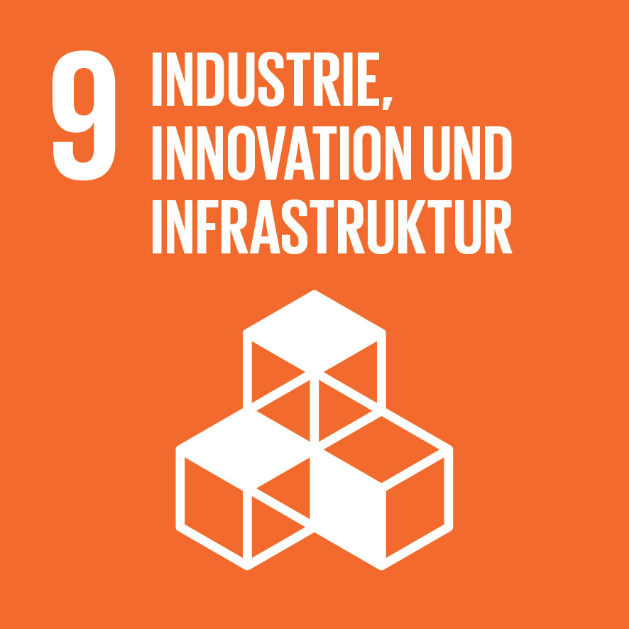 SDG-icon-DE-09.jpg